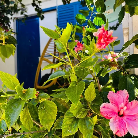 아파트 Urszula's Apartment- With Pool In Kos *